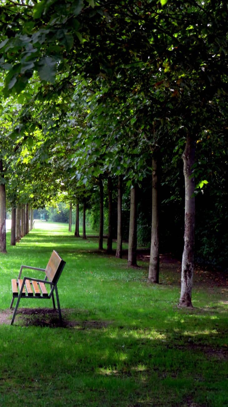 Tames Park