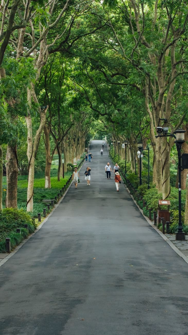 Tames Park