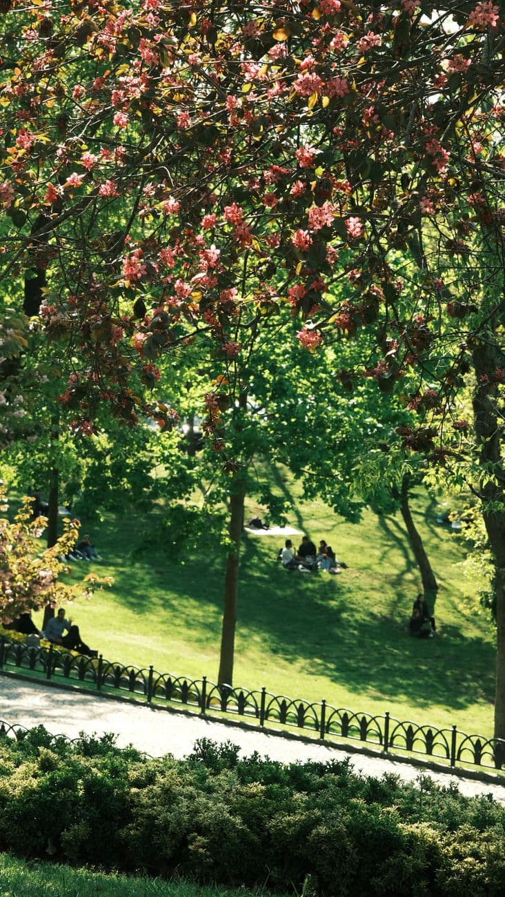 Tames Park